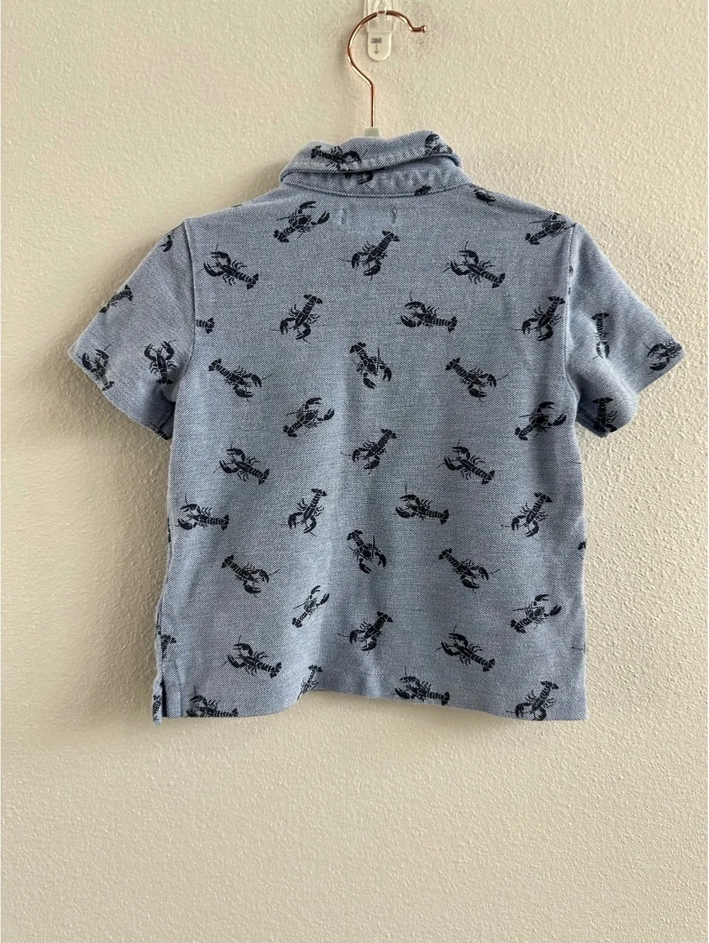 Ralph Lauren Boys Polo Lobster Shirt Size 24M